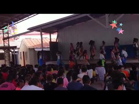Traditional dance Solomon Islands video cover
