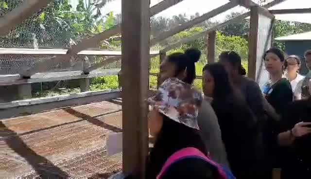 13 reactions | Year 11 Science Field Trip Sneak Pick.. Cocoa Farmer talked about the processes involves when fermenting the cocoa seeds. | Woodford International School
