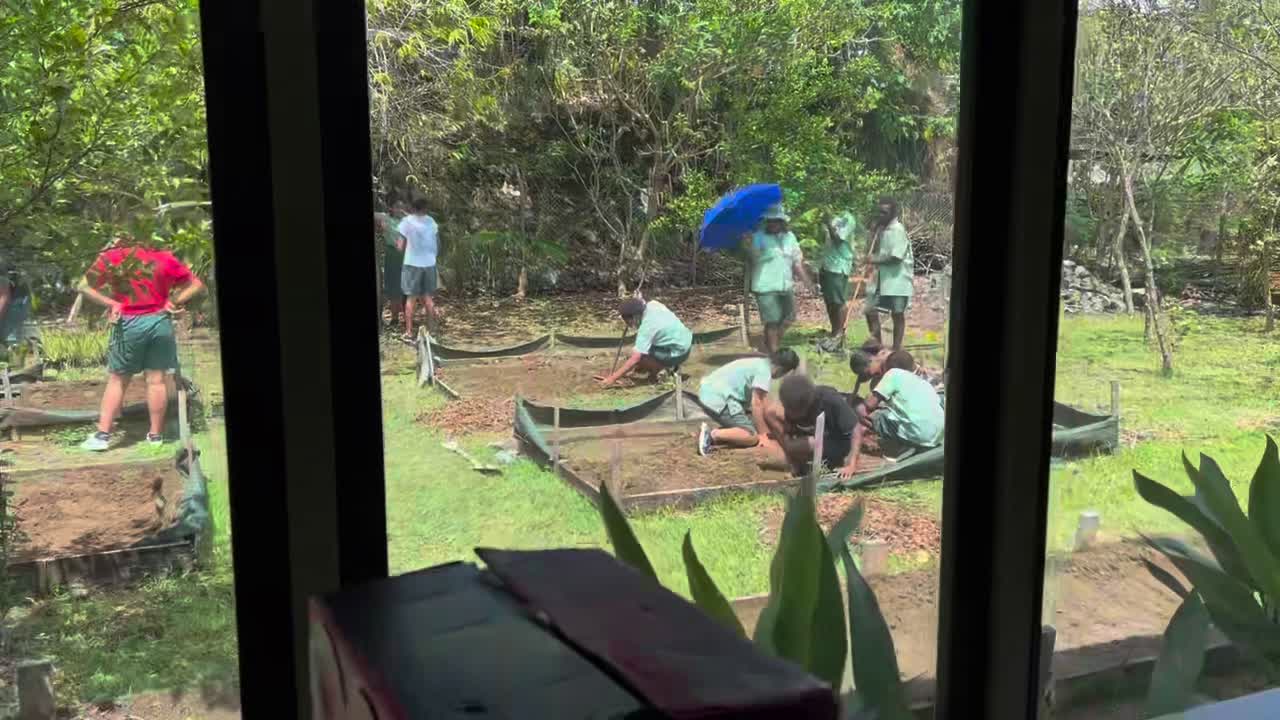 1.2K views · 26 reactions | 🇸🇧 Just another day at Woodford where one can witness Year 8 students learning about sustainable agriculture while at the same time the Year 4 students display their exhibition projects, as d